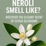 What Does Neroli Smell Like